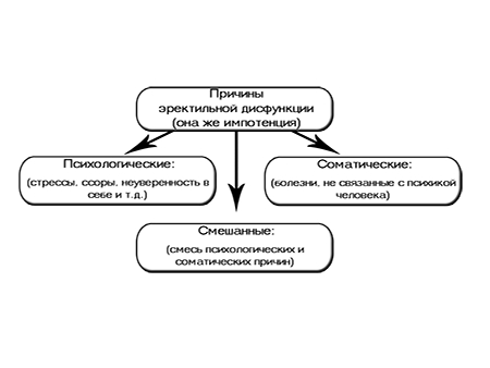 По каким причинам требуется лечение эректильной дисфункции у мужчин