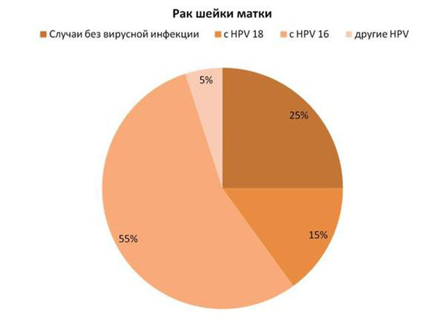 ВПЧ инфекция и бородавки у мужчин