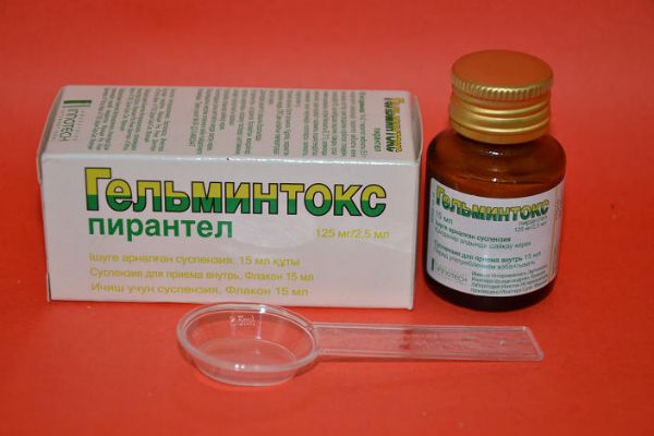Гельминтокс