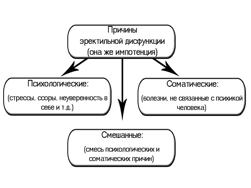 Причины эректильной дисфункции