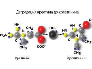 Креатинин