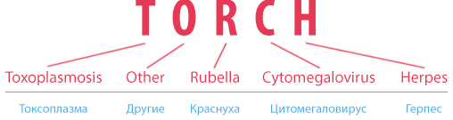 Расшифровка аббревиатуры ТОРЧ
